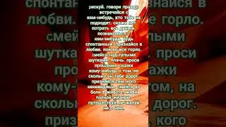 #shurts ,#цитаты ,#пожеланиедрузьям ,#мысли ,#любовь ,#высказывания ,#путешествия, #любовь