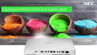 | NEC Display Solutions - P525