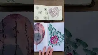 Experimenting with Slow Drawings