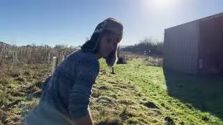 🌳 NINEBARROW WOODLAND UPDATE 27 - Glade preparation for the spring! 🌸