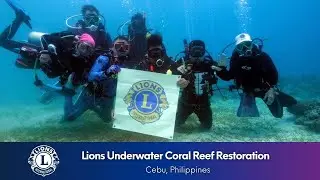 Lions in the Philippines Restore Coral Reefs | Underwater Coral Reef Project