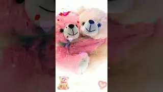 teddy bear day status video# shorts