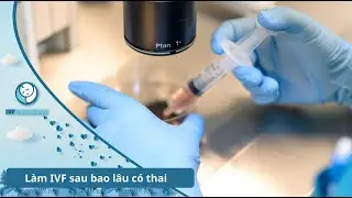 Làm Thụ Tinh Ống Nghiệm IVF Sau Bao Lâu Thì Biết Có Thai ?