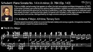 Schubert: Piano Sonata No. 14 in A minor, D. 784 (Op. 143) (Analysis)