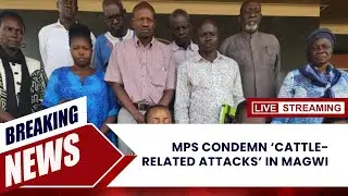 MPs condemn &lsquo;cattle-related attacks&rsquo; in Magwi