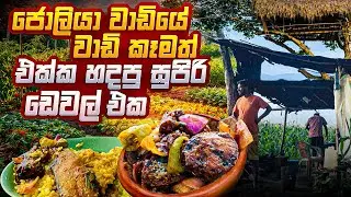 ජොලිය වාඩියේ වාඩි කෑමත් එක්ක හදපු සුපිරි ඩෙවල් එක #villagelife 
