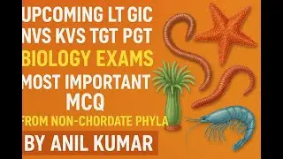 Most important MCQs from Non chordate phyla