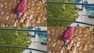 أجواء الشتاء الله يعطيها لينا على قد النفع ياربي 🤲