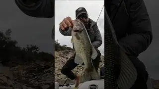 👆🏻v&iacute;deo completo #fishingbloggers #vlogfishing #fishingbloggers #videospescando