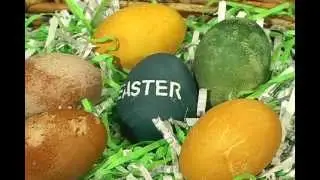 Easter Craft: All natural Easter egg dyes