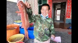 老四出完紧急任务去赶海，发现不少大货藏在烂船底，今天抓过瘾了