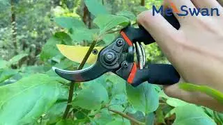 MESWAN Premium Garden Sharp Cutter Pruners Scissor with grip-handle Bypass Pruner (Manual)