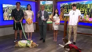 Narcissus Court to host doggie costume contest in Chinatown