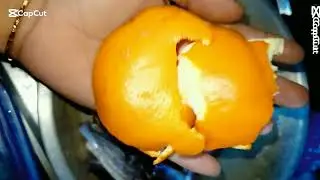 সিলেটি সেরা খাবার টেংরা মাছ দিয়া কমলার বাখল রান্নার রেসিপি।#vairalvideo #food #recipe #fish 