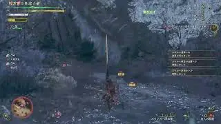 モンハンワイルズやるぞ～‼️
