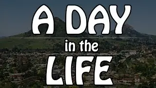 Day In the Life