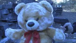 Mr. Butterscotch