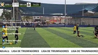 Transmisión en directo de Liga de triunfadores 99