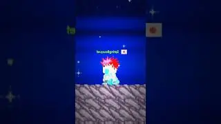 1 DL SET Growtopia