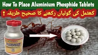 How to Place Aluminum Phosphide Tablets | Bed bugs Treatment (hindi/urdu)