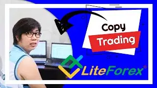Copy Trading Thru LiteForex | Can You Really Make Money? | Pip Magnet