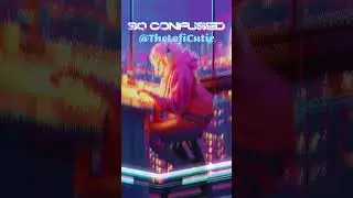 New Lofi Engergy 'So Confused