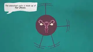 What Girls Need to Know About Their Periods