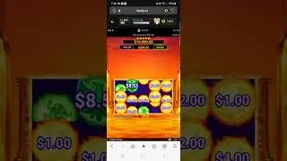 Area Link Phoenix Firestorm * 2.00 bet bonus * Betty Casino * How'd it go? #onlinecasino