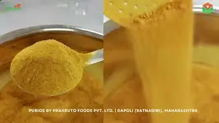 Purios by Prakruto | 100% Natural Alphonso Mango Powder
