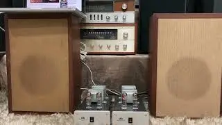 Testing Antique Sound Lab Monoblock - Cleveland speaker