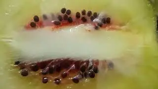 Center of a red kiwi 🥝 / Серединка розового киви 🥝 + #kiwi #fruit #fruits #friuts #friut