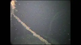 Black Sea Wreck 