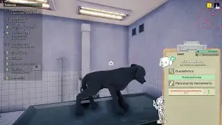 Animal Shelter em Portugu&ecirc;s  Exame do T&oacute;rax e P&iacute;lula de Quimioterapia