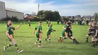Kids rugby - what a hit!
