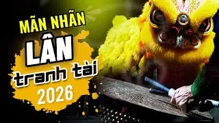 Lân Tranh Tài 2026 – Màn Biểu Diễn Mãn Nhãn | Hội Thi Lân Sư Rồng Quốc Tế