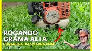 Roçando Grama Alta Mais Uma Vez com a Husqvarna 143R II | Trabalho Pesado