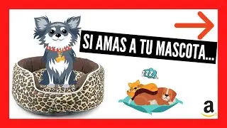 5 CAMAS PARA PERROS ✔️ | &iquest;Cu&aacute;l es la MEJOR CAMA para tu perro?