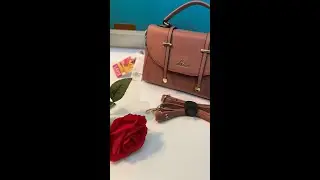 Lavie Women's Beech Satchel Bag  Unboxing | Ladies Purse Handbag | #shorts