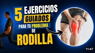 5 ejercicios guiados para que tus rodillas dejen de molestarte💪🏻#ejercicio #dolorderodilla 