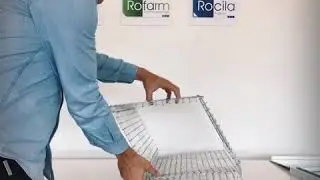 510122 furbetta gabbia cattura