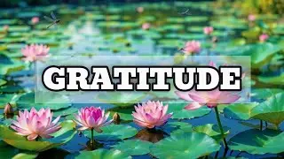 5-Minute Gratitude Meditation 🌿 Instant Positivity & Inner Peace