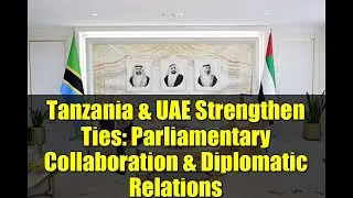 Tanzania & UAE Strengthen Ties: Parliamentary Collaboration & Diplomatic Relations