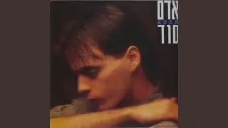 זריחה על המדבר