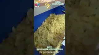 MEYER  COLOR SORTER ON Potato Chips