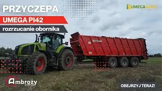 Rozrzucanie obornika przyczepą UMEGA PI42! MEGA ZESTAW NA POLU!