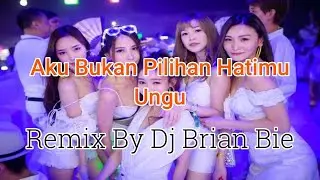 Aku Bukan Pilihan Hatimu - Ungu (Electro Manyao) By Dj Brian Bie #manyaoremix #manyaodj #manyao #dj