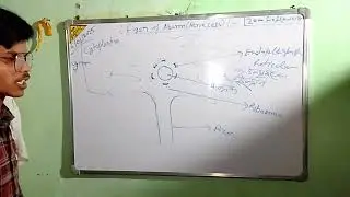 न्यूरॉन क्या होता है  और कितने प्रकार का होताहै#neuronet#governmentexams #educations#studymotivation