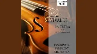 Violin Concerto No. 8 in D Minor, RV 238: I. Allegro - II. Largo - III. Allegro
