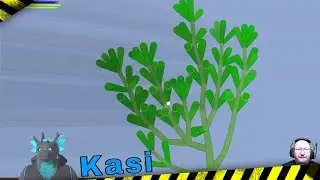 Kasi [Fremdgespielt GER]