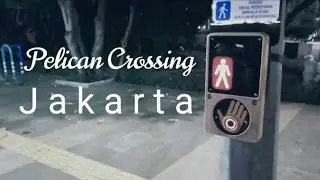 Pelican crossing Grand Indonesia Jakarta (lagu kicir-kicir)